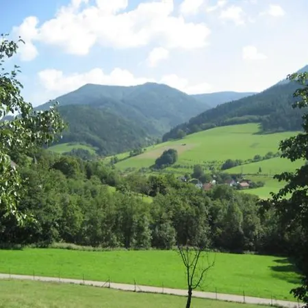 Haus Mattengro_enhof Apartmán Waldkirch